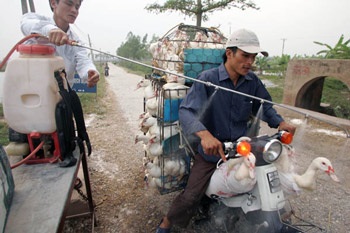 Hà Vỹ: Điếc không sợ súng! - 2