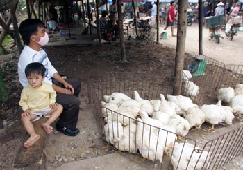 Hà Vỹ: Điếc không sợ súng! - 3