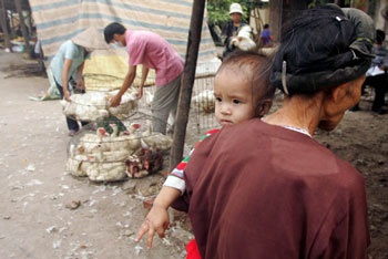 Hà Vỹ: Điếc không sợ súng! - 5