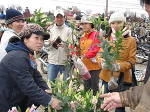 Méo mặt vì hoa quả tươi lên giá - 3 Méo mặt vì hoa quả tươi lên giá - 3