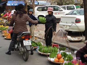 Méo mặt vì hoa quả tươi lên giá - 1 Méo mặt vì hoa quả tươi lên giá - 1