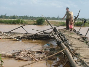 Bàng hoàng xứ Quảng! - 4