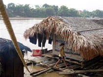 Giấc mộng lên bờ - 2 Giấc mộng lên bờ - 2