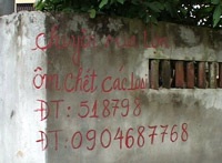 Dịch vụ mua lợn ốm, chết ở Hà Tây  - 1