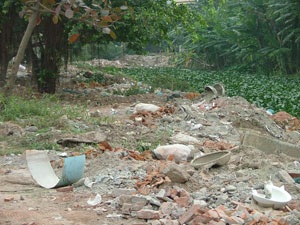 Hồ Hà Nội "kêu cứu" - 4 Hồ Hà Nội "kêu cứu" - 4