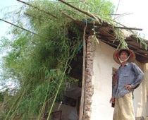 Phú Thọ: Sạt lở bờ sông, dân kêu trời - 2