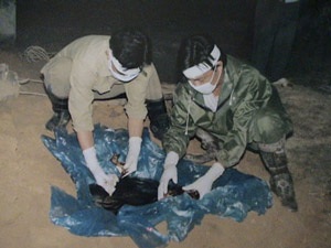 “Tắm” cho người chết - 2