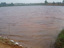 “Làng ung thư” Thạch Sơn: Mệt vì kêu cứu! - 1