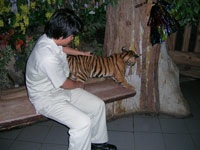 250 USD và 5 ngày trên đất Thái Lan - 6