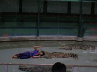 250 USD và 5 ngày trên đất Thái Lan - 3