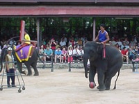 250 USD và 5 ngày trên đất Thái Lan - 10