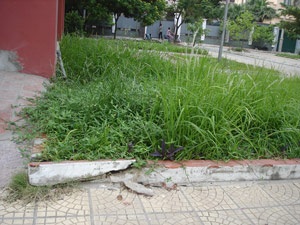 “Nham nhở” làng quốc tế Thăng Long - 2 “Nham nhở” làng quốc tế Thăng Long - 2