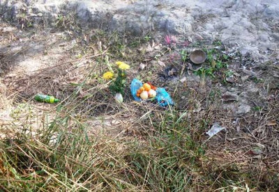 Bình Dương: Một ngày hai vụ án mạng kinh hoàng - 1