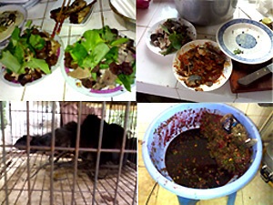 Sởn gai ốc mồi nhậu... chuột cống! - 1