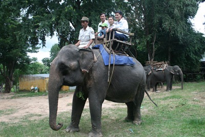 Tiếng thở dài của đàn voi nhà Tây Nguyên - 1 Tiếng thở dài của đàn voi nhà Tây Nguyên - 1