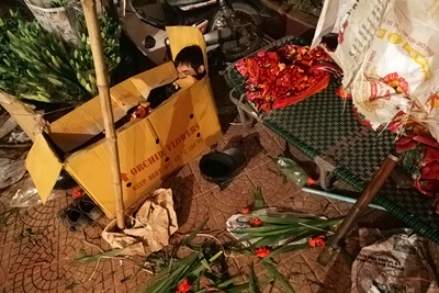 Chợ hoa đêm cuối năm - 7