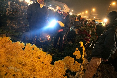 Chợ hoa đêm cuối năm - 6
