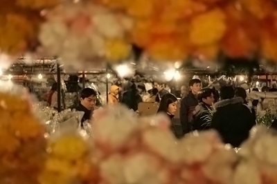 Chợ hoa đêm cuối năm - 3