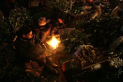 Chợ hoa đêm cuối năm - 10