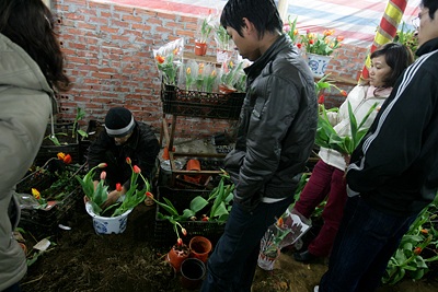 Chợ hoa đêm cuối năm - 9