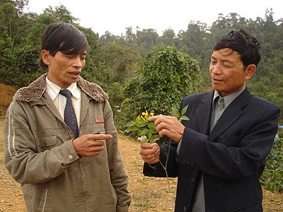 Nỗi đau mang tên lá ngón - 2 Nỗi đau mang tên lá ngón - 2