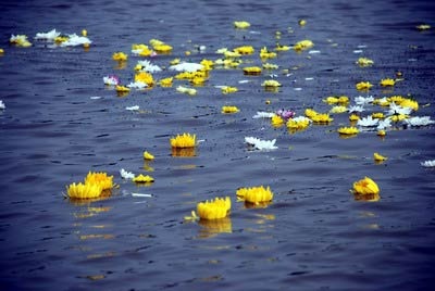 Lễ rải tro tượng trưng cố Thủ tướng Võ Văn Kiệt - 5