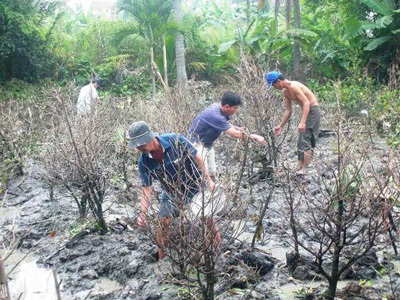 Trắng tay, bại sản vì triều cường - 4 Trắng tay, bại sản vì triều cường - 4