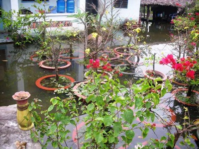 Trắng tay, bại sản vì triều cường - 8 Trắng tay, bại sản vì triều cường - 8