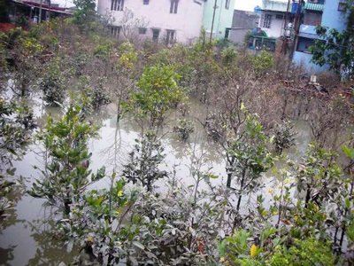 Trắng tay, bại sản vì triều cường - 6 Trắng tay, bại sản vì triều cường - 6