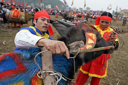 Vua đi cày trong lễ hội tịch điền Đọi Sơn - 9