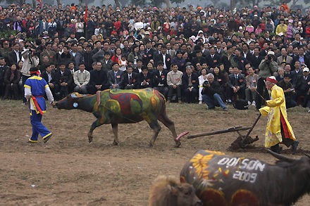 Vua đi cày trong lễ hội tịch điền Đọi Sơn - 15