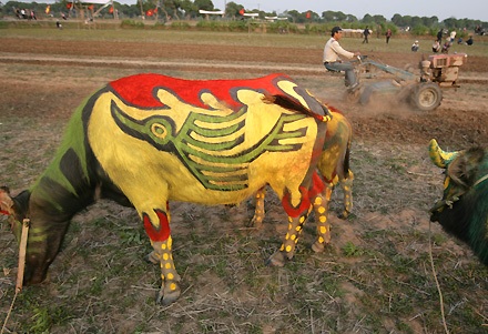 Vua đi cày trong lễ hội tịch điền Đọi Sơn - 11