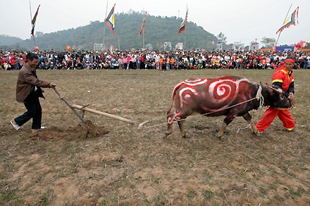 Vua đi cày trong lễ hội tịch điền Đọi Sơn - 10