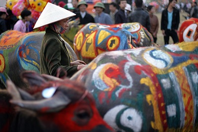 “Tranh trâu” Đọi Sơn: Độc nhất vô nhị! - 19 “Tranh trâu” Đọi Sơn: Độc nhất vô nhị! - 19