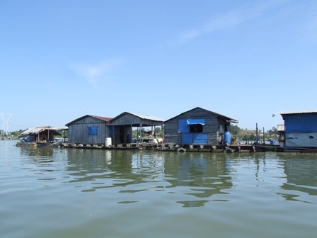 Xử phạt hai công ty xả thải ra hồ Trị An làm chết cá  - 1