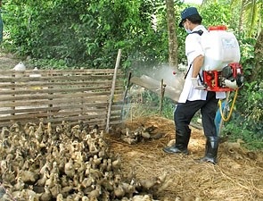 Một ca tử vong nghi nhiễm H5N1 tại Sóc Trăng - 1