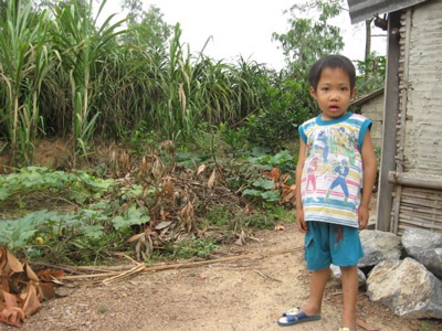 Nỗi đau máu trắng  - 2