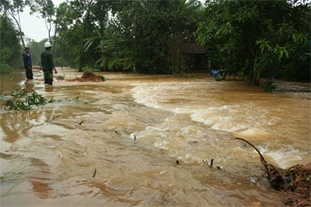 Vỡ đê bao, dân chạy lũ trong đêm - 1 Vỡ đê bao, dân chạy lũ trong đêm - 1
