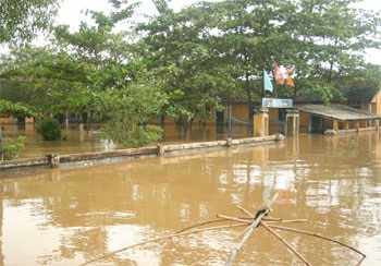 Vỡ đê bao, dân chạy lũ trong đêm - 5 Vỡ đê bao, dân chạy lũ trong đêm - 5