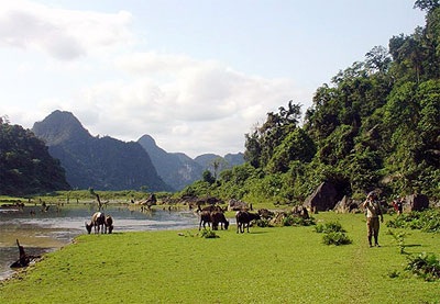 Ngỡ ngàng trước tuyệt phẩm vừa khám phá ở Phong Nha - 2 Ngỡ ngàng trước tuyệt phẩm vừa khám phá ở Phong Nha - 2