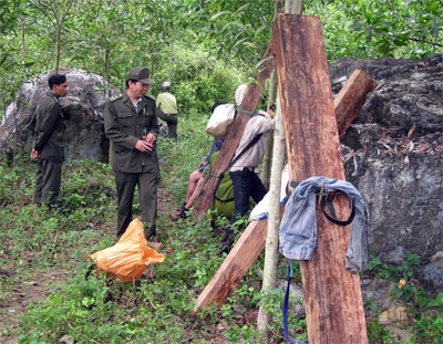 Có dấu hiệu người dân bị xúi giục làm “lâm tặc” - 2