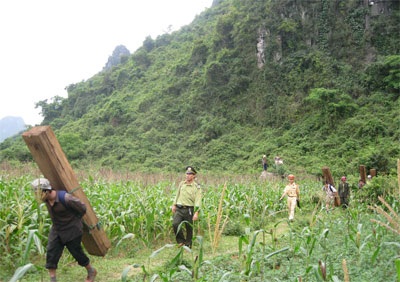 Có dấu hiệu người dân bị xúi giục làm “lâm tặc” - 1