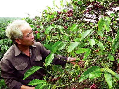 Doanh nghiệp xuất khẩu vẫn “đói” thông tin - 1 Doanh nghiệp xuất khẩu vẫn “đói” thông tin - 1