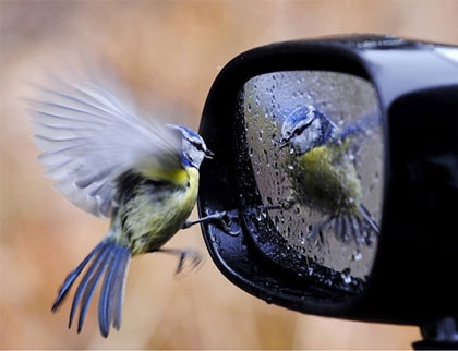 Những khoảnh khắc lạ - 2