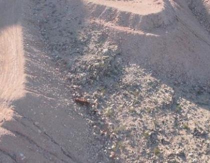 Phá xe để kiếm tiền bảo hiểm - 4