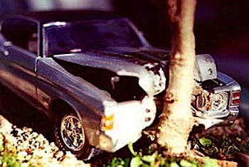 Xe hơi với nghệ thuật bonsai - 11