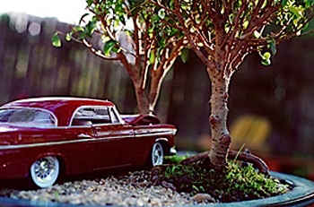 Xe hơi với nghệ thuật bonsai - 3