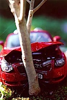 Xe hơi với nghệ thuật bonsai - 4