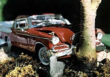 Xe hơi với nghệ thuật bonsai - 6