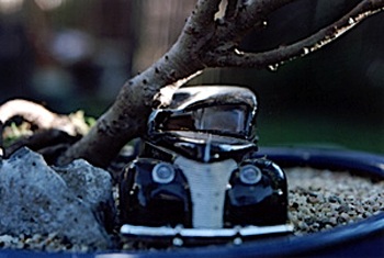 Xe hơi với nghệ thuật bonsai - 7